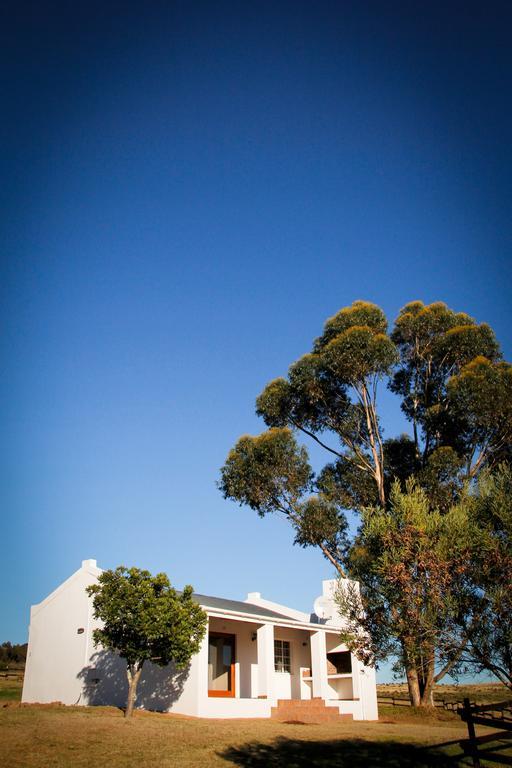 Villa Kweekkraal Guest Farm Riversdale Exterior foto